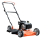 Cortadora de césped Niwa GSR20450